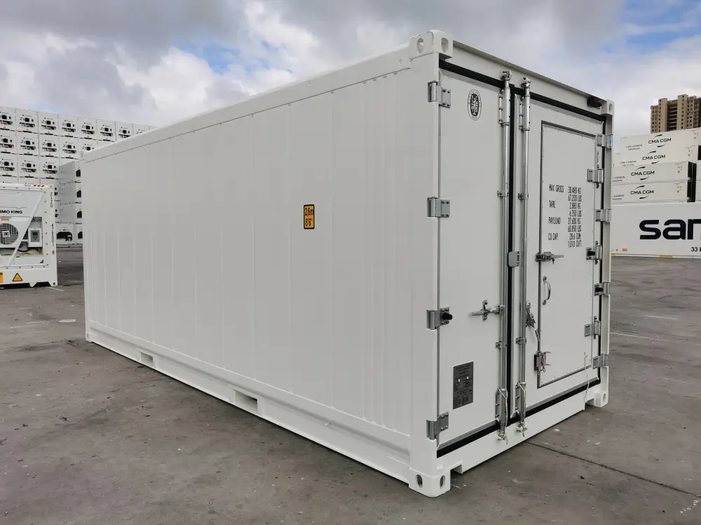 20ft New Refrigerated Container , view 3